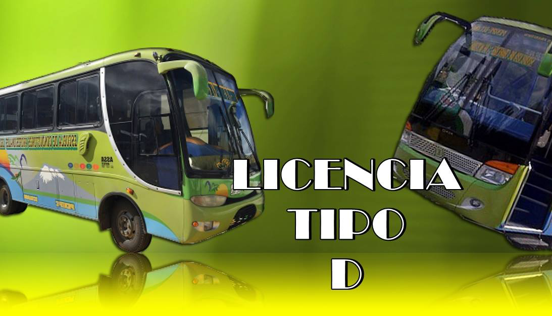 imagen licencia tipo d